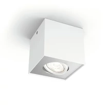 BOX - 50491/31/P0 - Spot