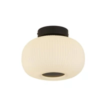 LUMINA - Searchlight-10271-1BK - Mennyezet lámpa