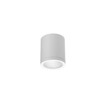 Azzardo CONYON kültéri mennyezet lámpa fém, üveg, fehér, áttetsző, LED, 3000K-4000K-6000K, 10W, 800lm, IP54 - 6026