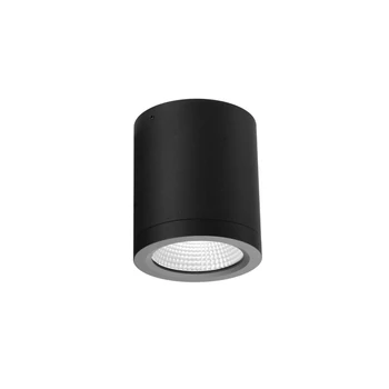 Azzardo CONYON kültéri mennyezet lámpa fém, üveg, fekete, áttetsző, LED, 3000K-4000K-6000K, 15W, 1200lm, IP54 - 6027