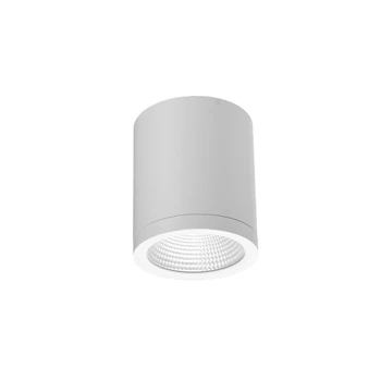 Azzardo CONYON kültéri mennyezet lámpa fém, üveg, fehér, áttetsző, LED, 3000K-4000K-6000K, 15W, 1200lm, IP54 - 6028