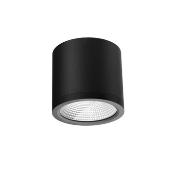 Azzardo CONYON kültéri mennyezet lámpa fém, üveg, fekete, áttetsző, LED, 3000K-4000K-6000K, 25W, 2000lm, IP54 - 6029