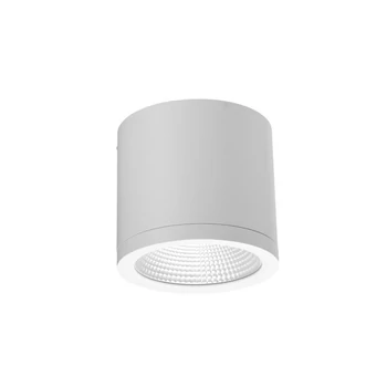 Azzardo CONYON kültéri mennyezet lámpa fém, üveg, fehér, áttetsző, LED, 3000K-4000K-6000K, 25W, 2000lm, IP54 - 6030