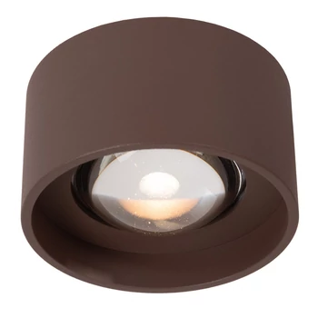 Lucide LENZ kültéri mennyezet lámpa fém, üveg, barna, áttetsző, LED, 8W, 450lm, 2700K, IP54 - 33805/08/97