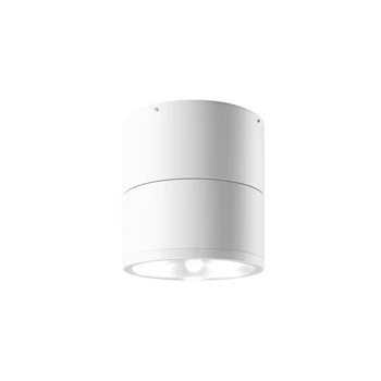 Maytoni SPIN kültéri mennyezet lámpa fém, üveg, fehér, áttetsző, LED, 3000K, 12W, 1050lm, IP54 - O310CL-L12W3K