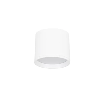 NovaLuce ZIAZA mennyezet lámpa fém, fehér, LED, 3000K, 10W, 550lm - 9030729