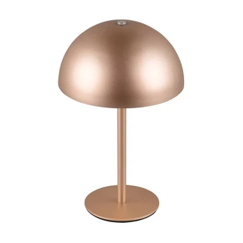 Trio MUNOZ asztali lámpa fém, barna, LED, 1W, 120lm, 3000K - R54891165